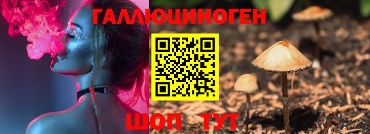 Галлюциногенные грибы мухоморы Приморско-Ахтарск